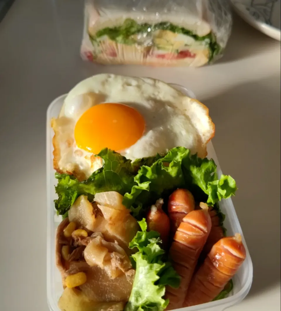 今日のお弁当|そごうりんさん