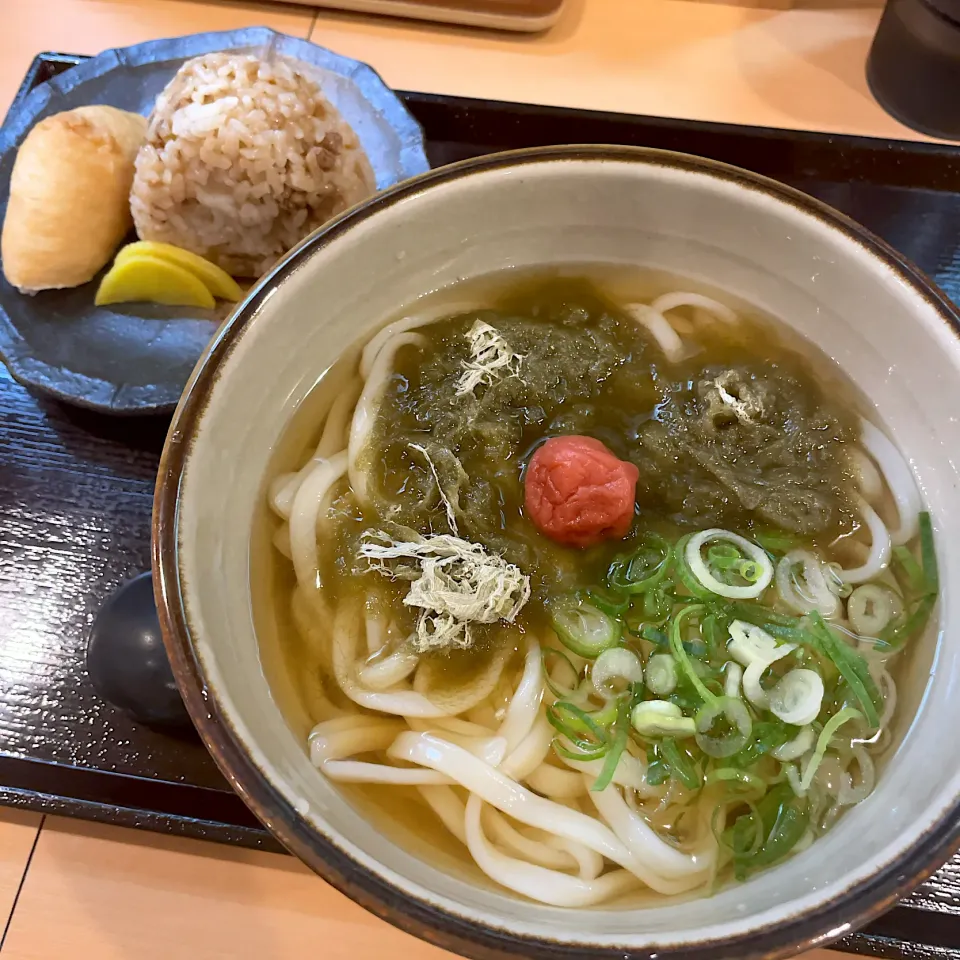 Snapdishの料理写真:梅とろろ昆布うどん かしわといなりセット|T. Wonderさん