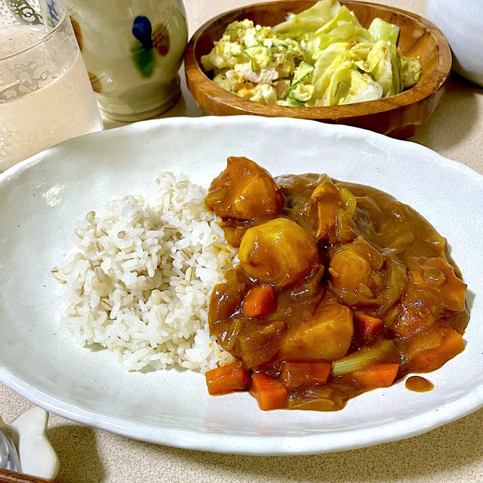 Snapdishの料理写真:240619晩ごはん|mioさん