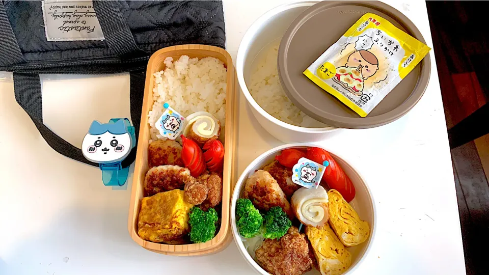 Snapdishの料理写真:6/20鶏つくね弁当|みっちょさん