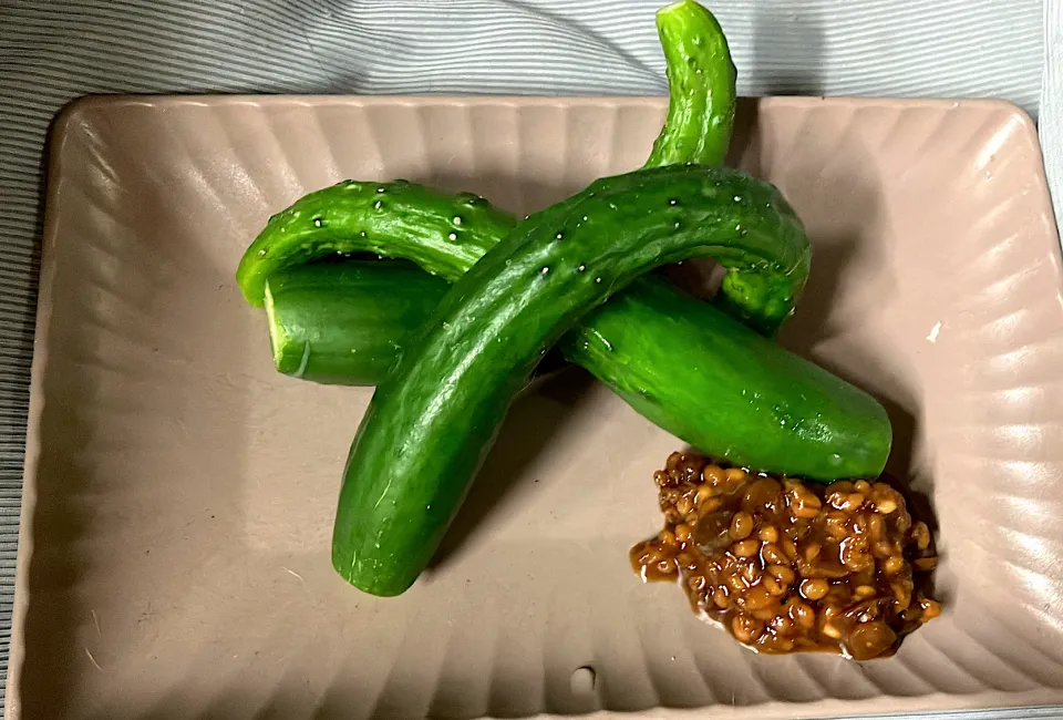 温かい鍋には身体を冷ます🥒を付けて 間引き🥒のひしお|🐈⸒⸒⸒⸒つるのダンス🐈🐾さん