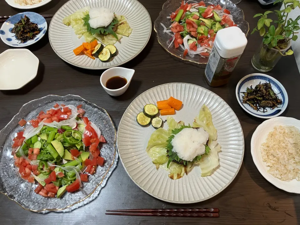 Snapdishの料理写真:おろしそハンバーグ付け合わせに蒸し野菜のグリル等、野菜サラダ手作りドレッシング、ひじき、ご飯は玄米50%|tatsuponさん