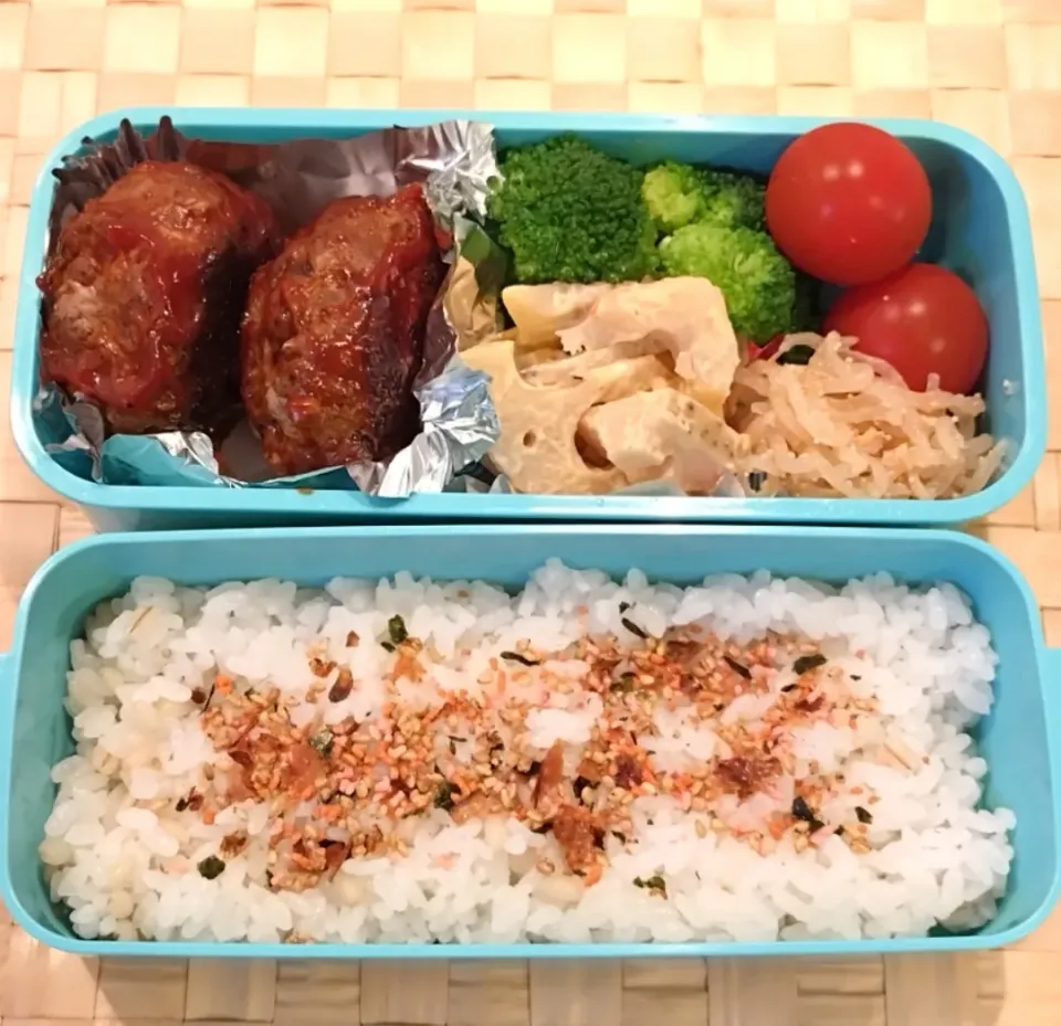 Snapdishの料理写真:ハンバーグ弁当|mmmさん