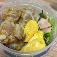 Snapdishの料理写真:焼売弁当　豆苗炒め卵焼き添え|よしぽんさん