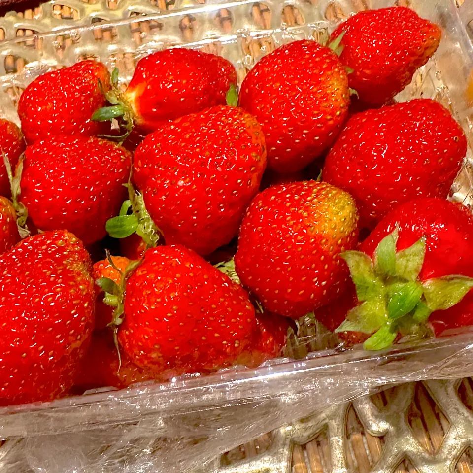 差し入れでいただいた新鮮採れたてイチゴ🍓|タマチャンフーズさん