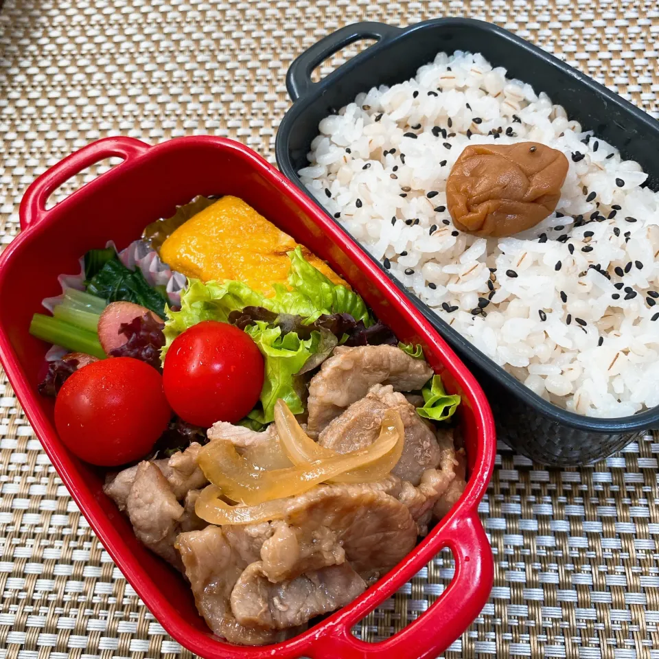 今日の旦那さんのお弁当|naoさん