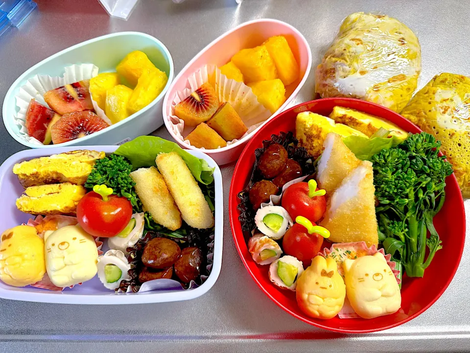 延期になった遠足弁当♪|このみんさん