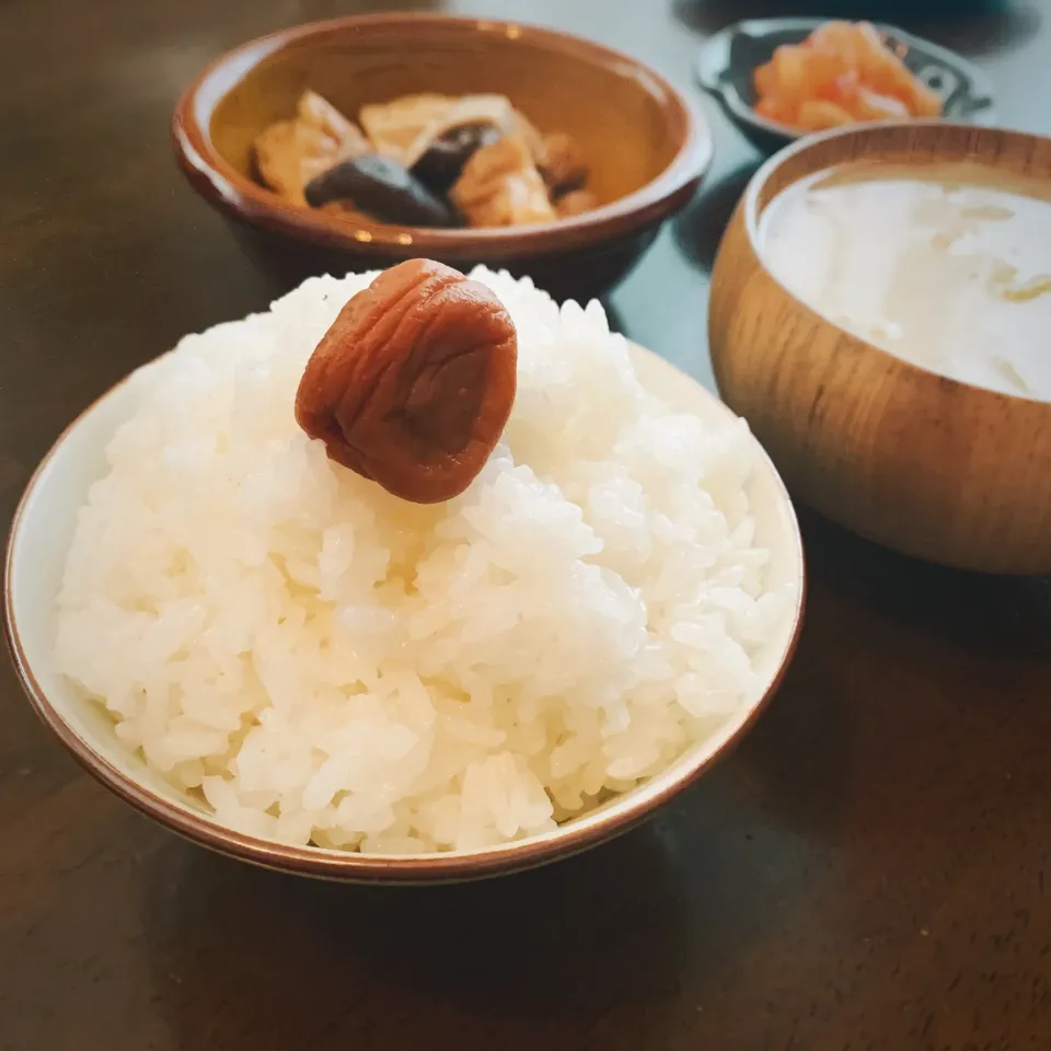 炊きたてごはん越しの、栃尾揚げの田舎煮👵🏻🍲|leeさん