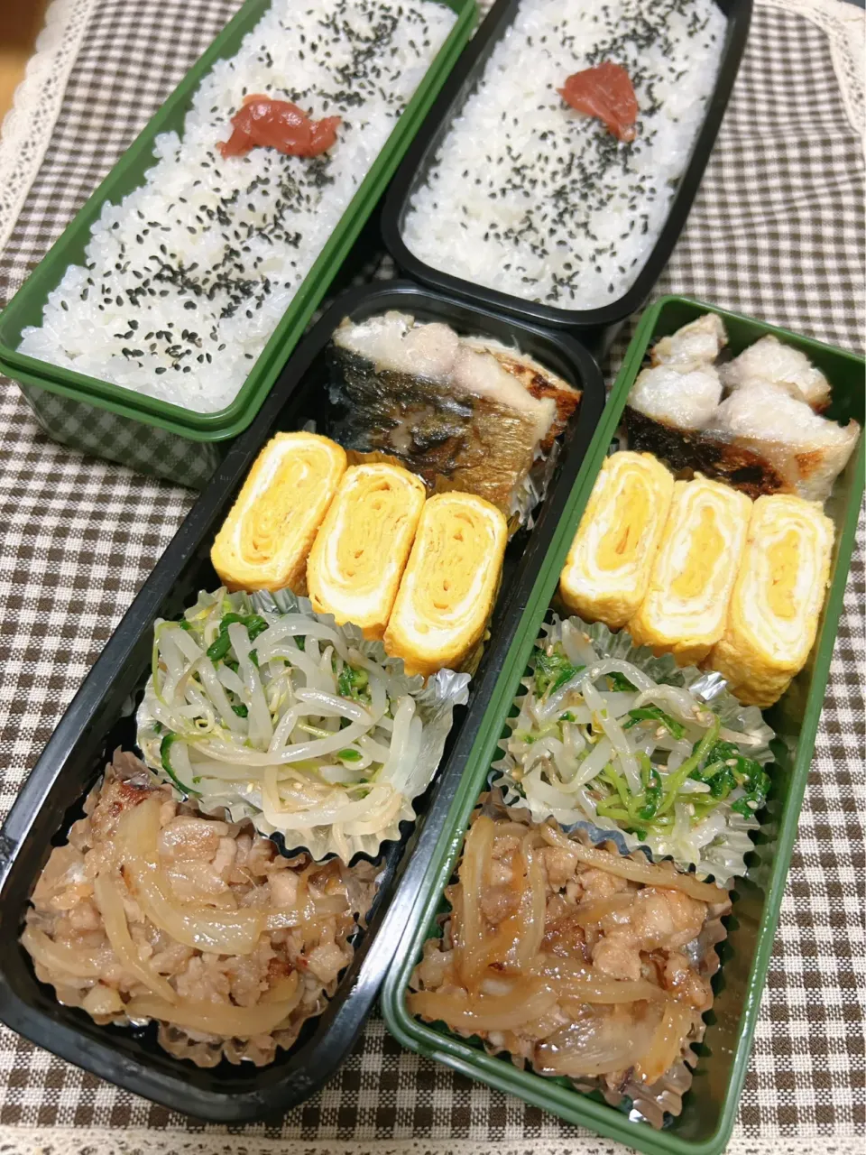 今日のお弁当 2024.6.26(Wed)|*seiko*さん