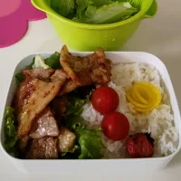 Snapdishの料理写真:今日のお弁当|そごうりんさん