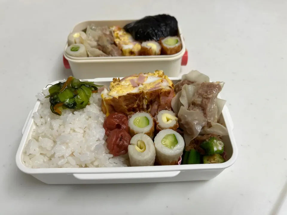 Snapdishの料理写真:娘と妻のお弁当|もとくんさん