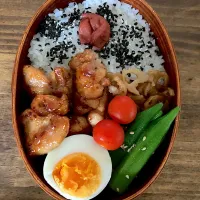 ６月２８日　お弁当|スイカ大好きさん