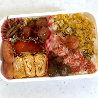 今日の息子弁当🍱|はるみさん