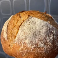 ふすま粉入りカンパーニュ