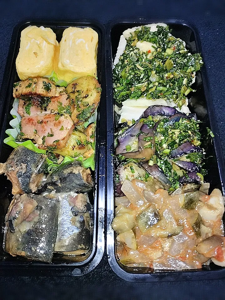 6月28日今日のお弁当|jijiさん