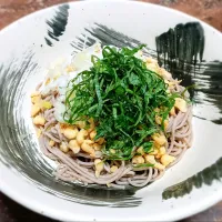 【自作】薬味たっぷり！冷やしたぬき