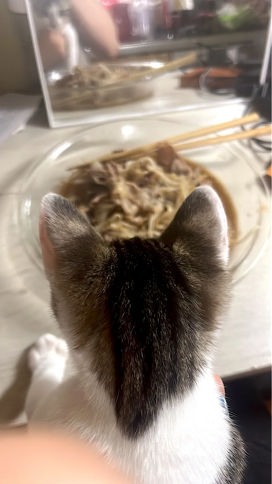 Snapdishの料理写真:#もやしと豚肉のバタポン|かれんさん