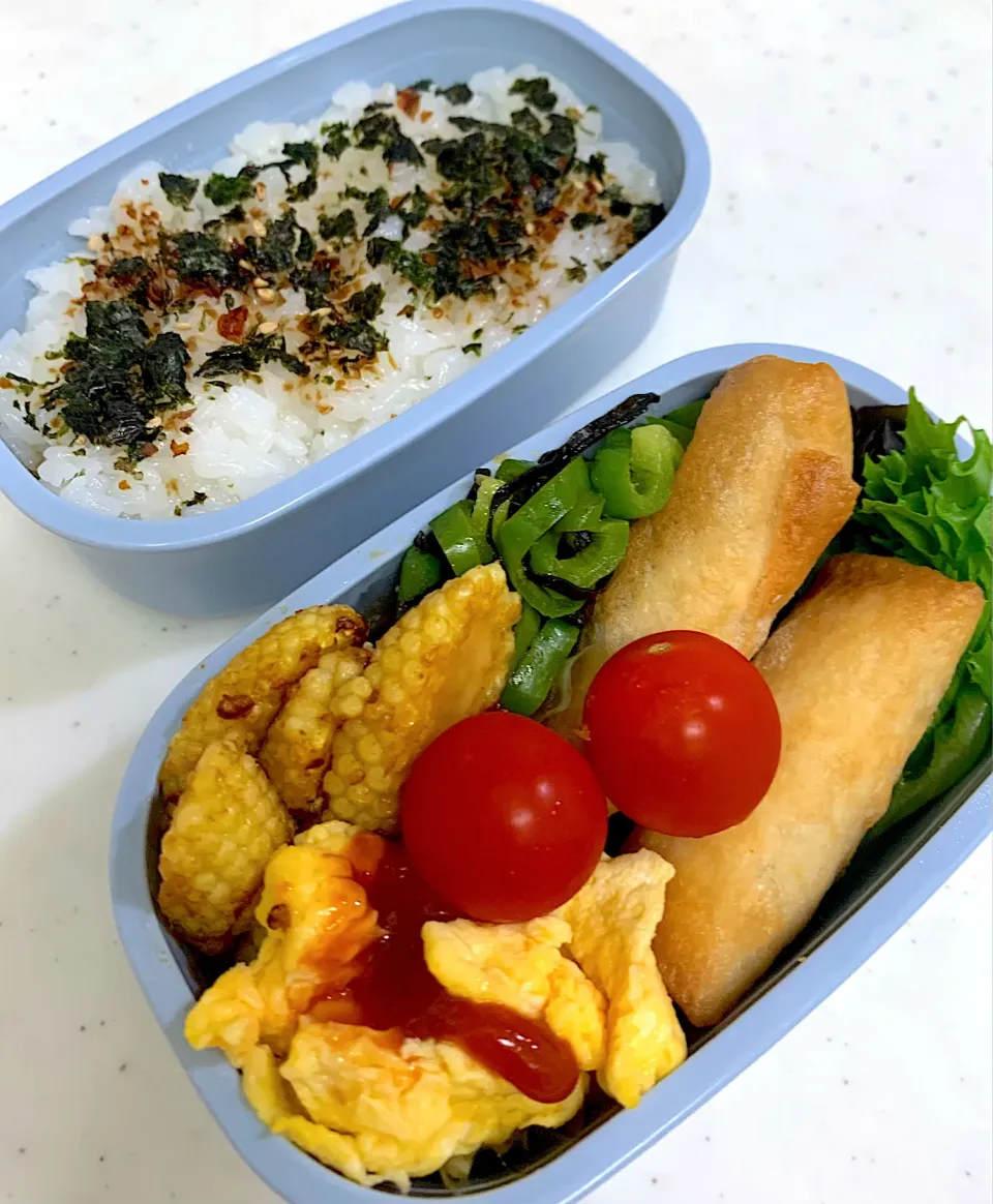 今日のお弁当6月29日|corocoroさん