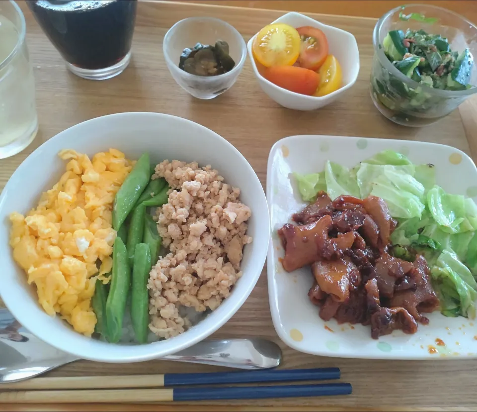 ☆三色丼
☆もつ炒め
☆キュウリ梅干し和え
☆冷やしトマト
☆キューちゃん漬け|chikakoさん