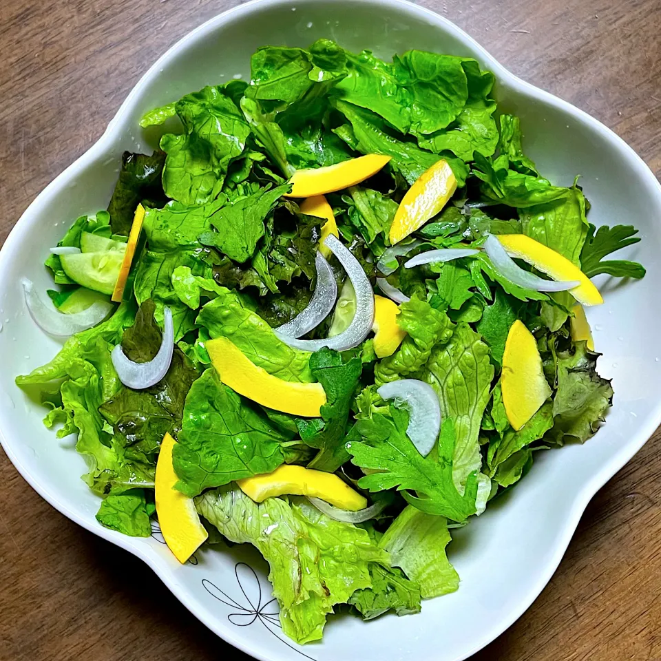 自家製野菜のサラダ🥗|ひだまり農園さん