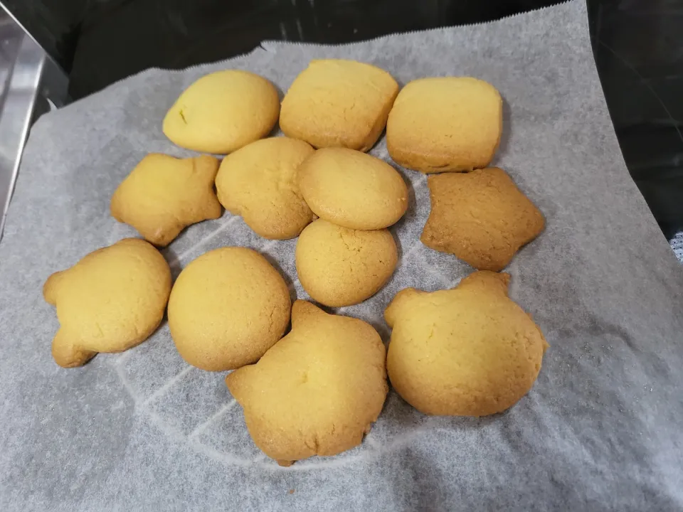 |Hiroka Okaharaさん