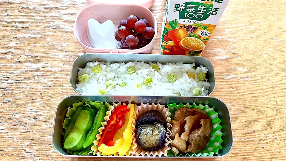 女子大生お弁当|マイさん