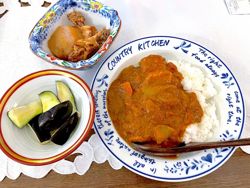 Snapdishの料理写真:スパイスカレー🍛茄子の浅漬け🍆手羽元と大根煮物|もなかさん