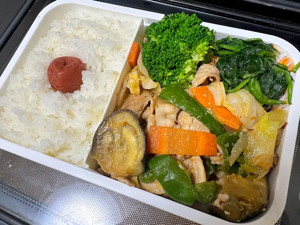 Snapdishの料理写真:回鍋肉弁当|ゆちゃなyuchanaaさん