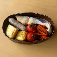 Snapdishの料理写真:定番の鮭弁当|☺︎Forestさん