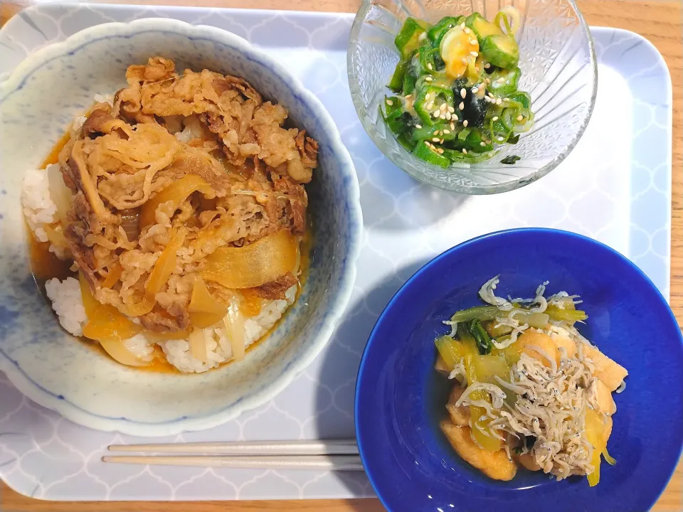 Snapdishの料理写真:松屋の冷凍牛丼
オクラとワカメのからし味噌
チンゲン菜とじゃこの煮物|さゆさん