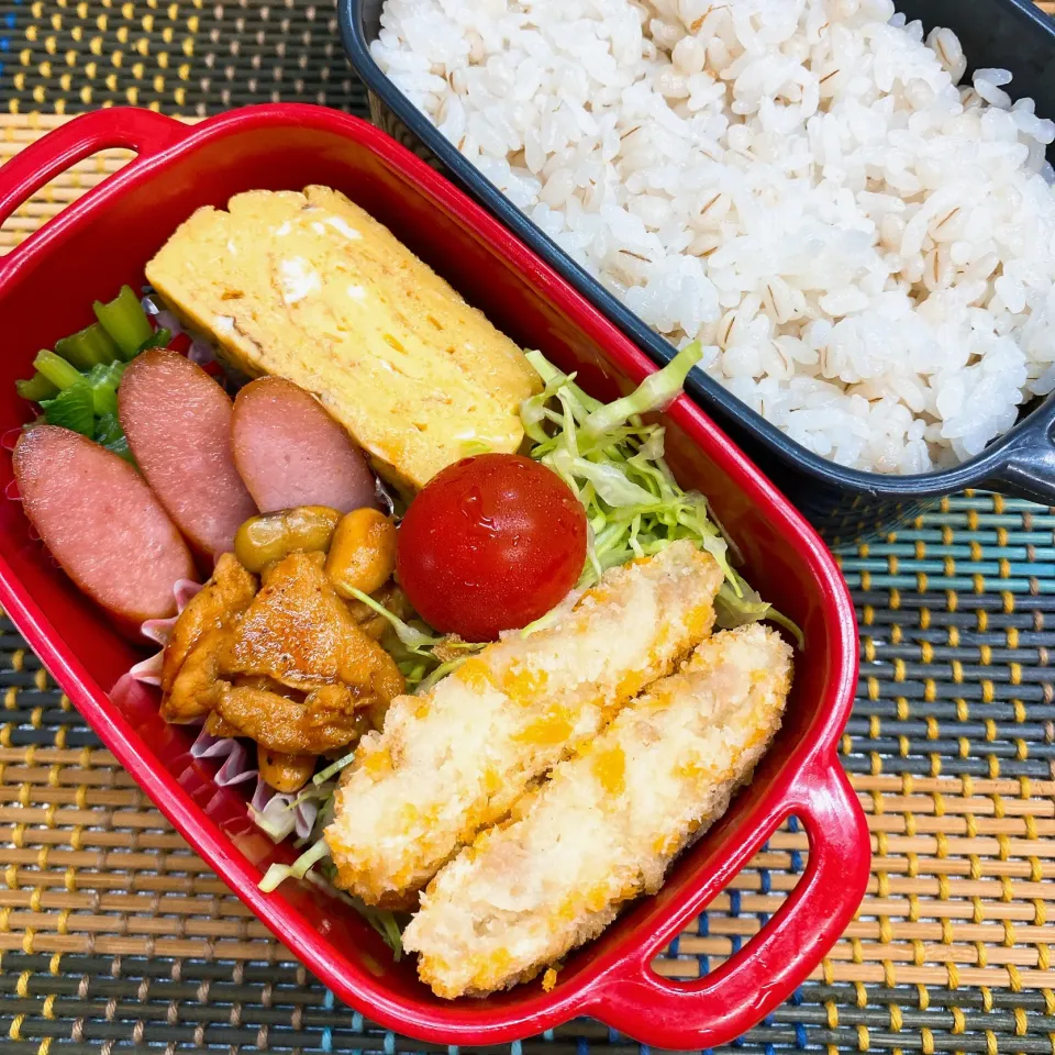 今日の旦那さんのお弁当|naoさん