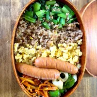 Snapdishの料理写真:そぼろ丼弁当|スイカ大好きさん