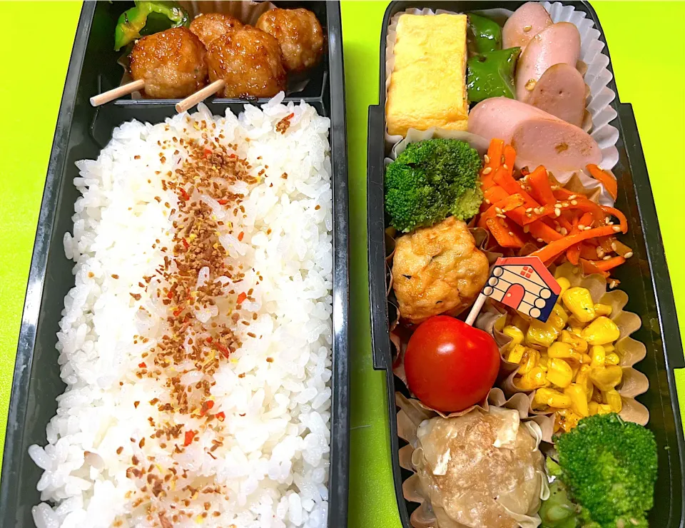 Snapdishの料理写真:高1息子のお弁当🌈7/4(木)☀️|KCoさん