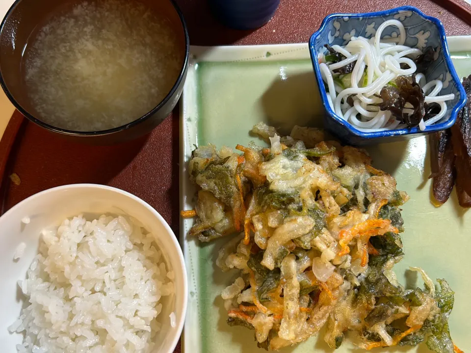 Snapdishの料理写真:かき揚げ　春雨の酢の物|バジルママさん