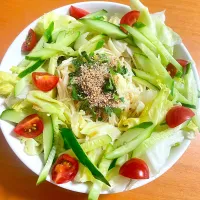 Snapdishの料理写真:たっぷり野菜のぶっかけ素麺揖保乃糸|eri☆さん