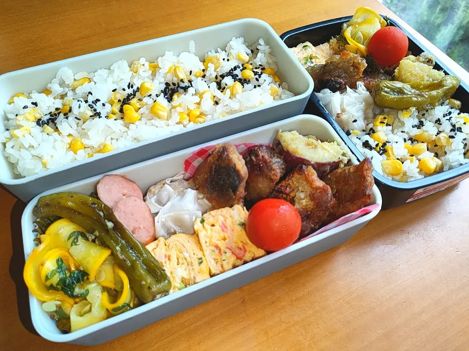 Snapdishの料理写真:次男・私弁当|tamagomagomagoさん