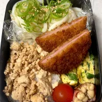 Snapdishの料理写真:今日はうどん➕そぼろご飯|ともみさん