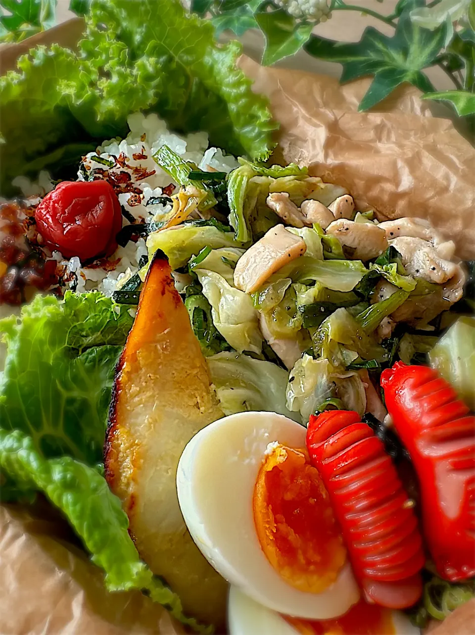 Snapdishの料理写真:今日のお弁当|みゆきさん