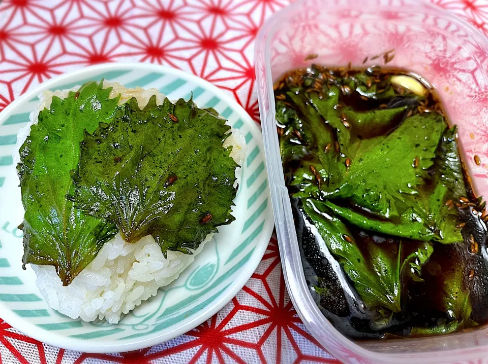 @きなこさんの料理 🔷飯泥棒🍚　大葉🍀クミン醤油漬け🔷|ちゃっぴ〜さん