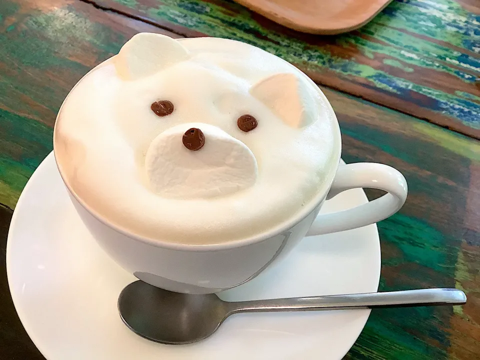 数学カフェさんの可愛い🐻くまカフェ・オ・レ😋|アライさんさん