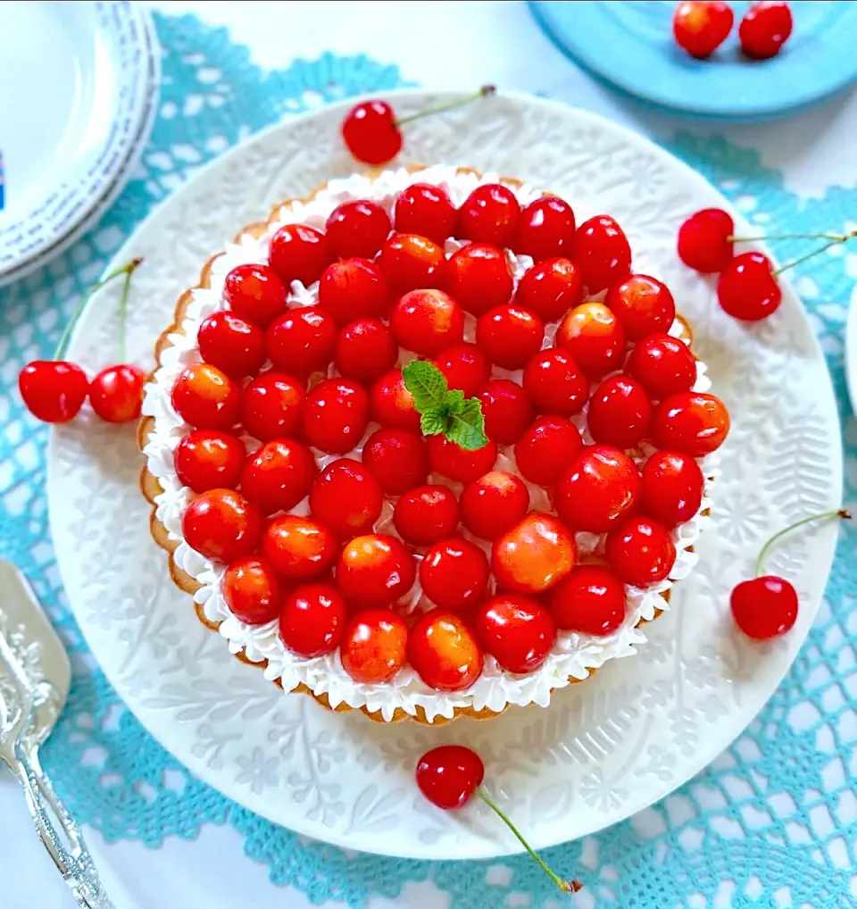 さくらんぼづくしのヨーグルトレアチーズタルト🍒🥧|さらっと🍀さん