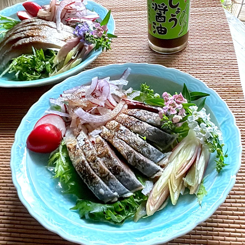 焼き鯖サラダ ~with青こしょう醤油|とんちんさん