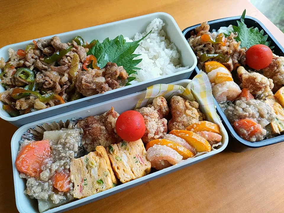 Snapdishの料理写真:次男・私弁当|tamagomagomagoさん