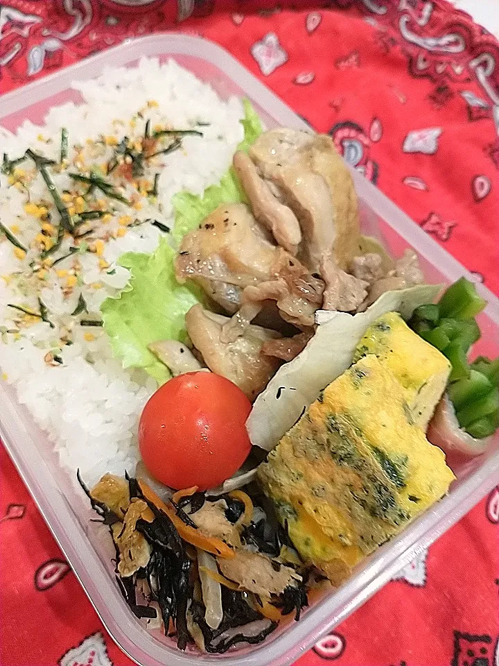 ひじき煮鶏照り焼き弁当|yayoi.Kさん