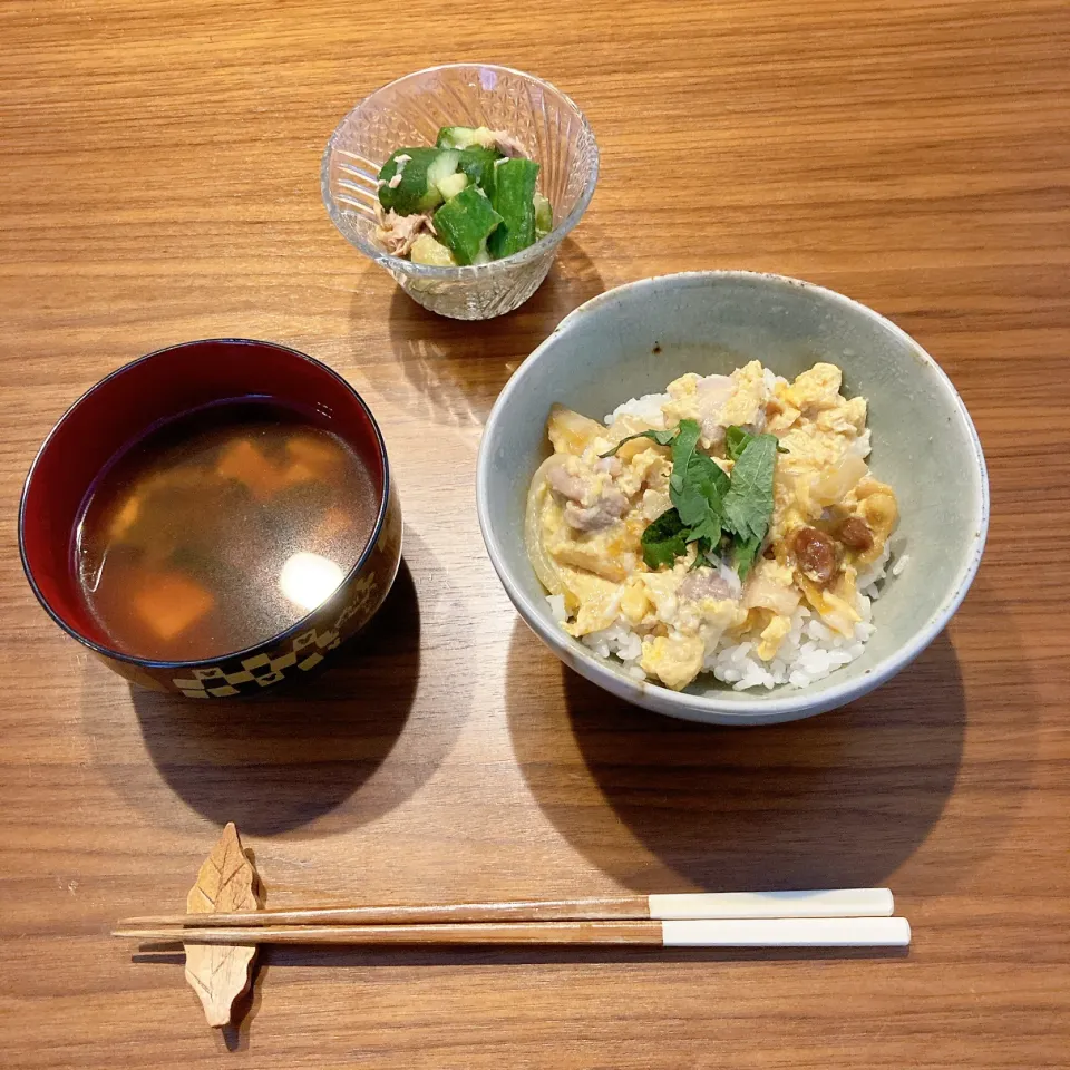 たまご丼とたたき胡瓜のツナ和え|ちゃみこさん