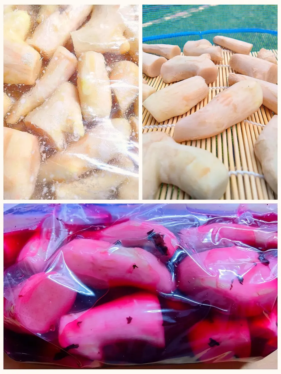 紅生姜|秀美«シュウビ»さん