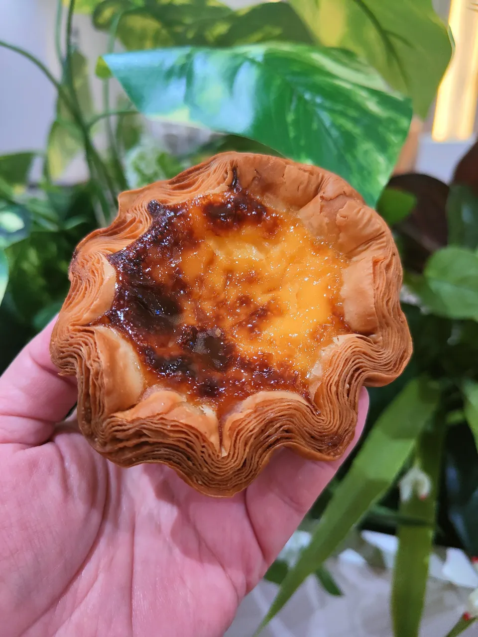 Snapdishの料理写真:Croissant Egg Tart|kellymyliana_tew@yahoo.com.sgさん