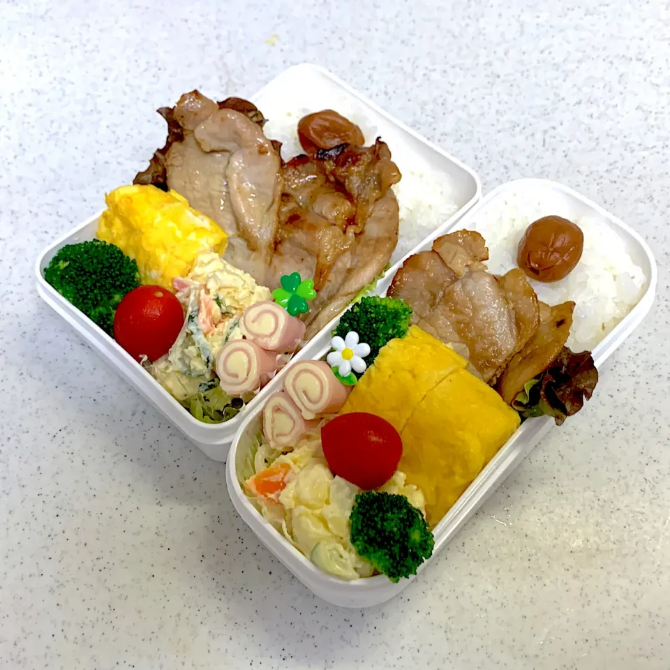 Snapdishの料理写真:2024年7月11日お弁当🍱|もぐぷーさん