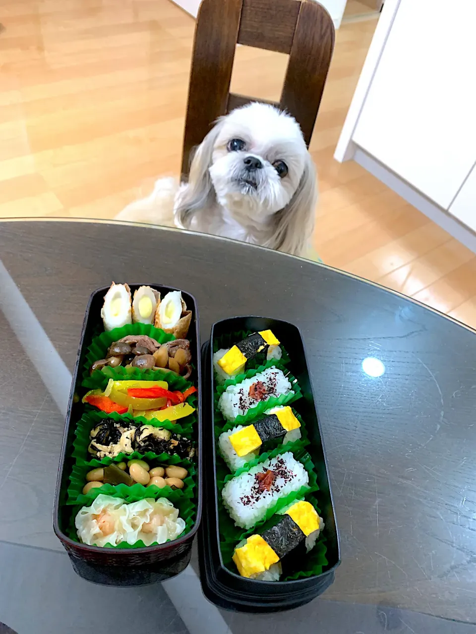 7月12日　プクパパお弁当🍱|プクママさん