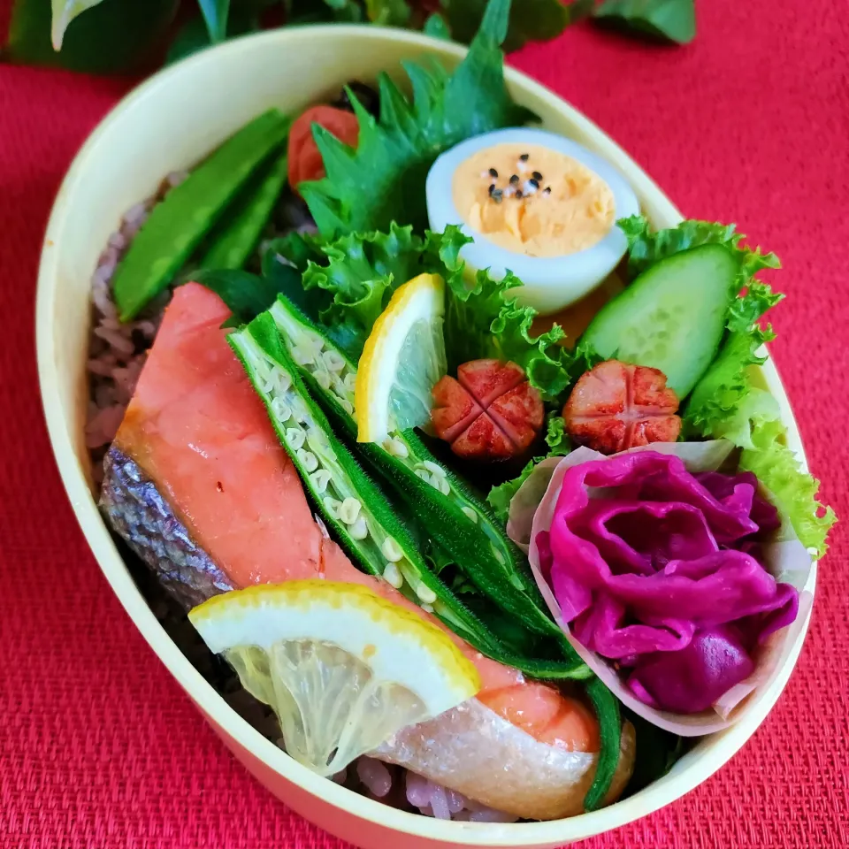 今日のわっぱご飯|ふかふかごはんさん